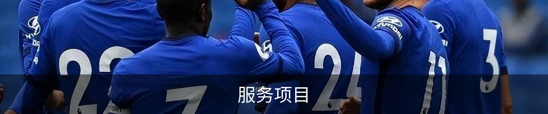服务项目